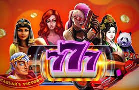 kaki21